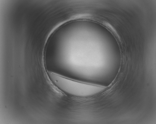 X0000075831336200609150836