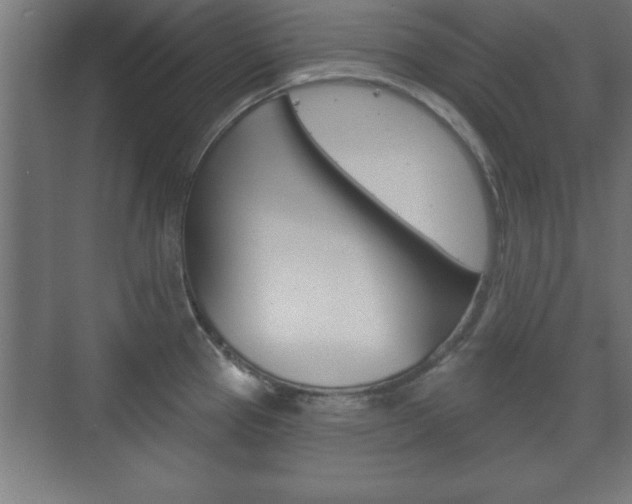 X0000075831337200609150836