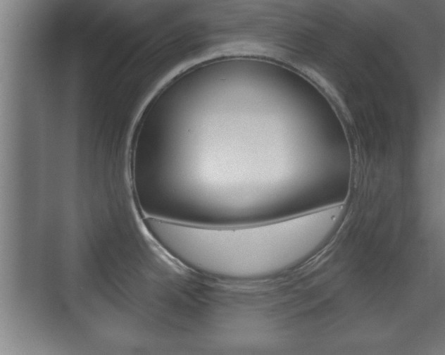 X0000075831342200609150836