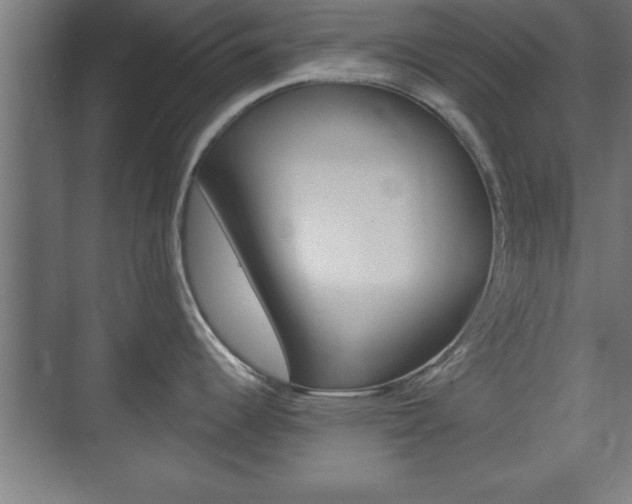 X0000075831344200609150836