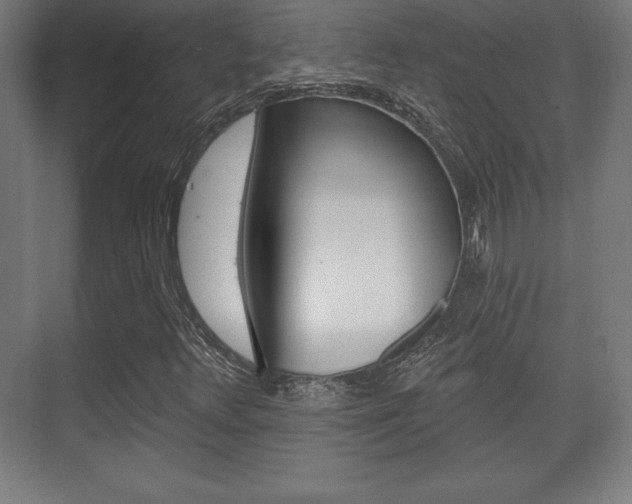 X0000075831348200609150835