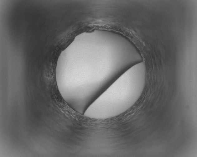 X0000075831350200609150835