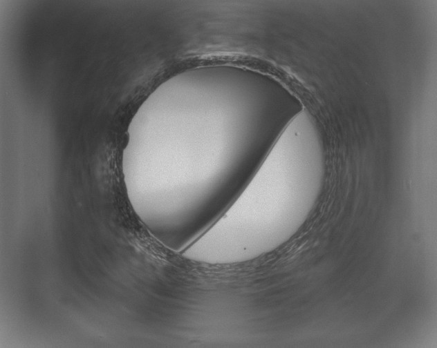 X0000075831351200609150835