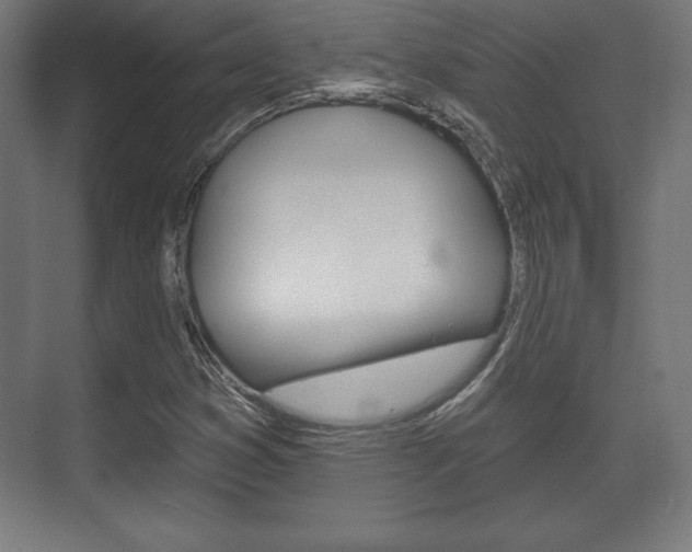 X0000075831353200609150835