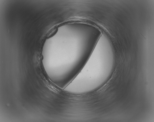 X0000075831355200609150835