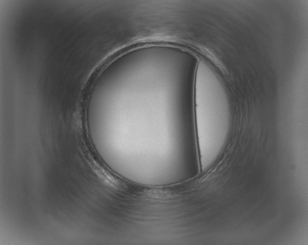 X0000075831356200609150835