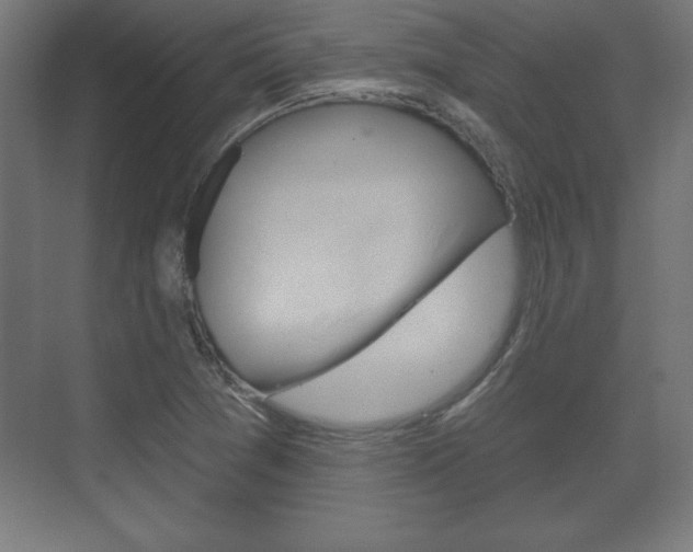 X0000075831361200609150835