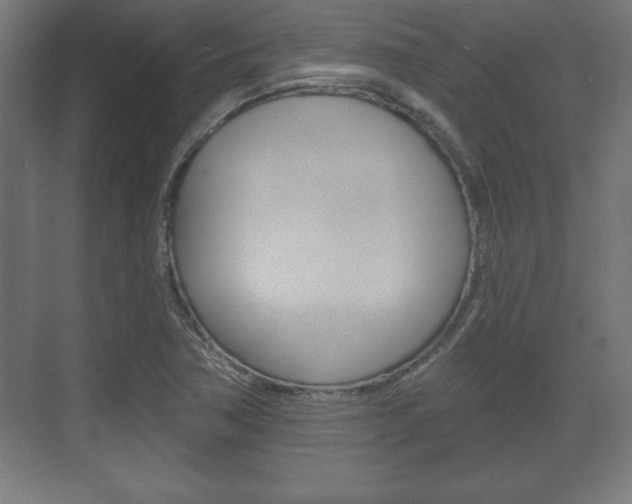 X0000075831362200609150835