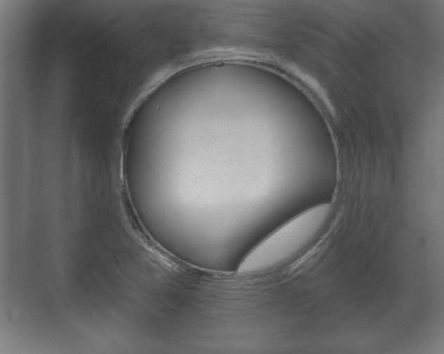 X0000075831365200609150835