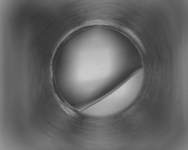 X0000075831372200609150835