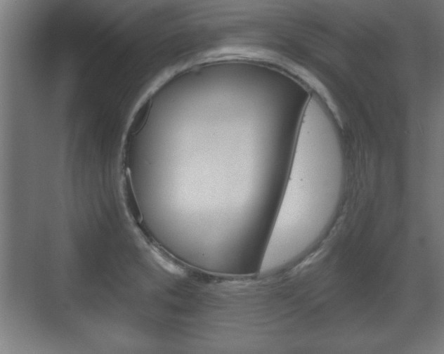 X0000075831373200609150835