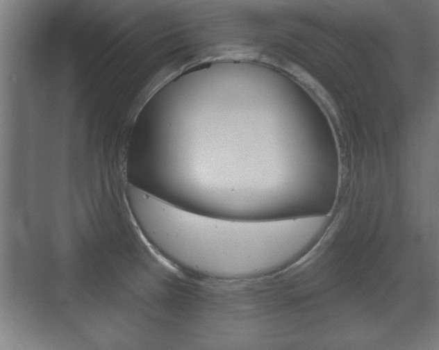 X0000075831385200609150835