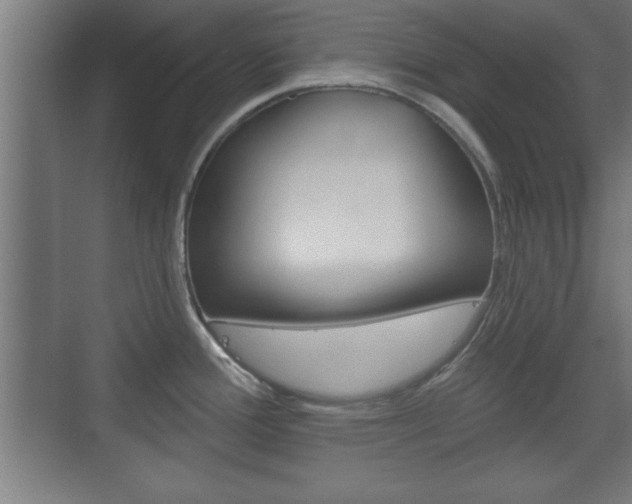 X0000075831388200609150834