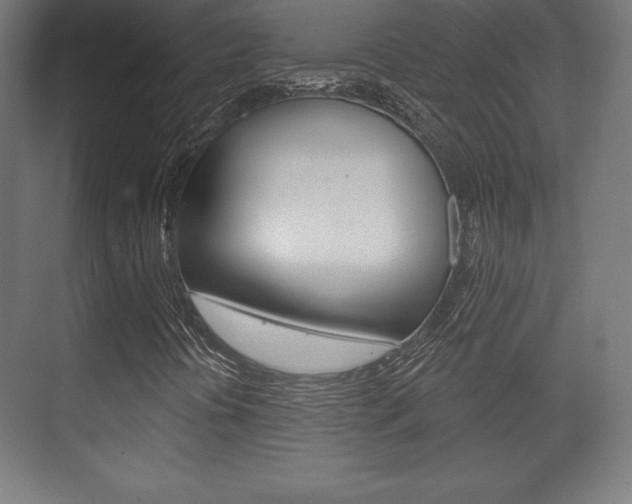 X0000075831394200609150834