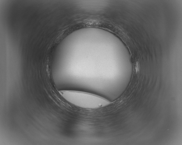 X0000075831396200609150834