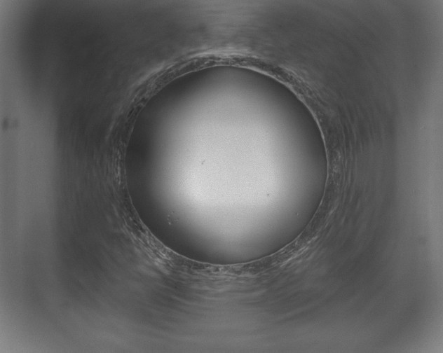 X0000075831398200609150834