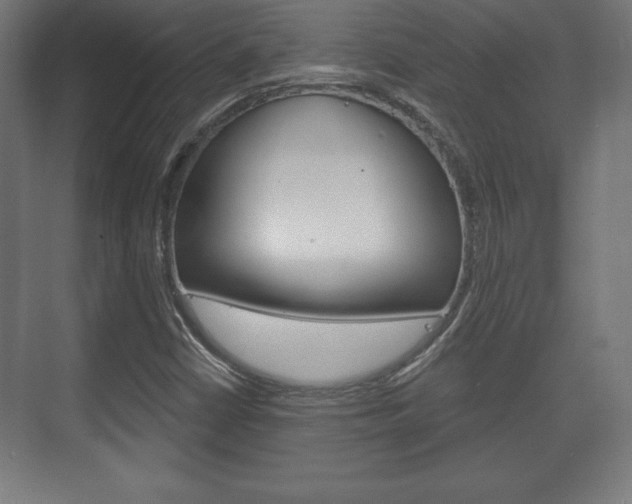 X0000075831402200609150834