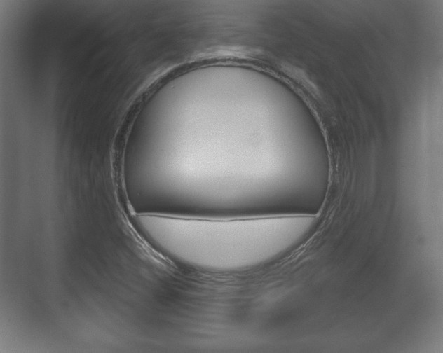 X0000075831404200609150834