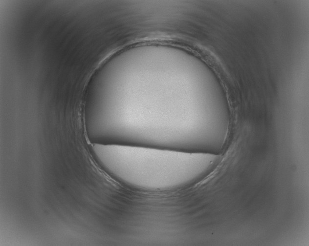 X0000075831409200609150834