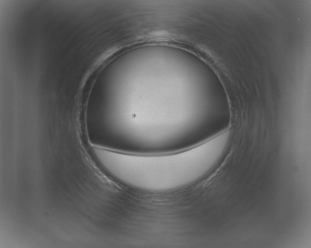 X0000075831410200609150834