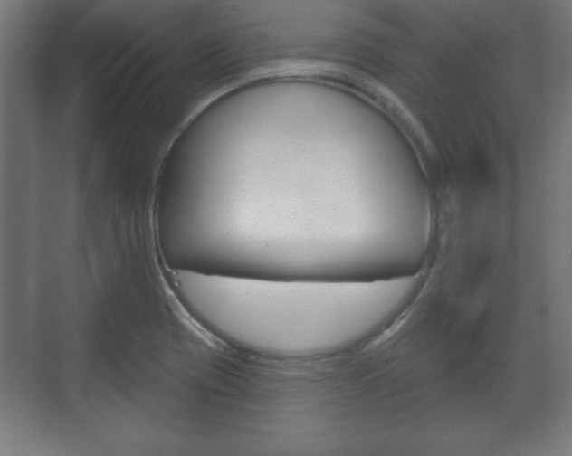 X0000075831417200609150834