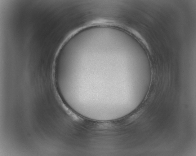 X0000075831421200609150834