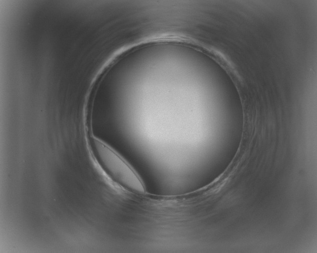 X0000075831422200609150834