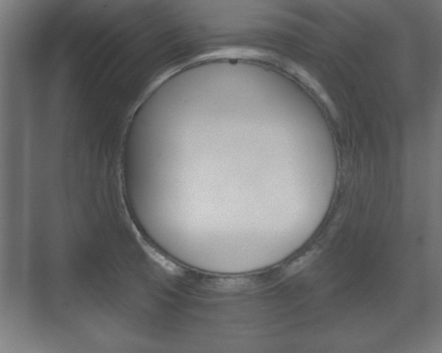 X0000075831425200609150834