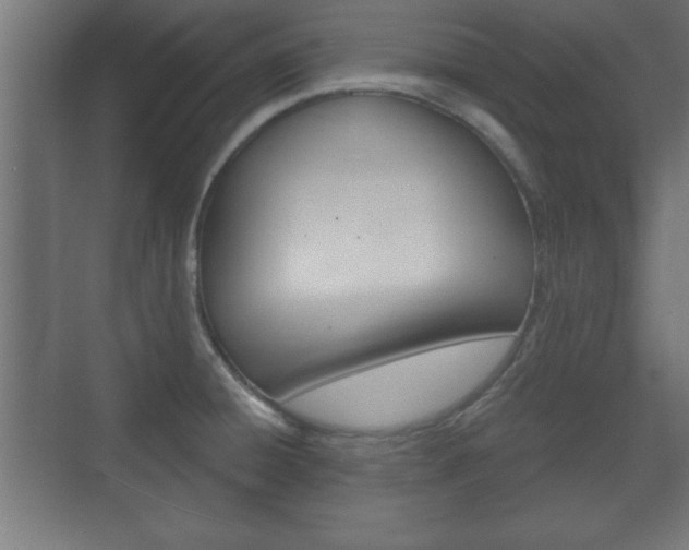 X0000075831428200609150834