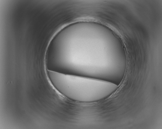 X0000075831440200609150834