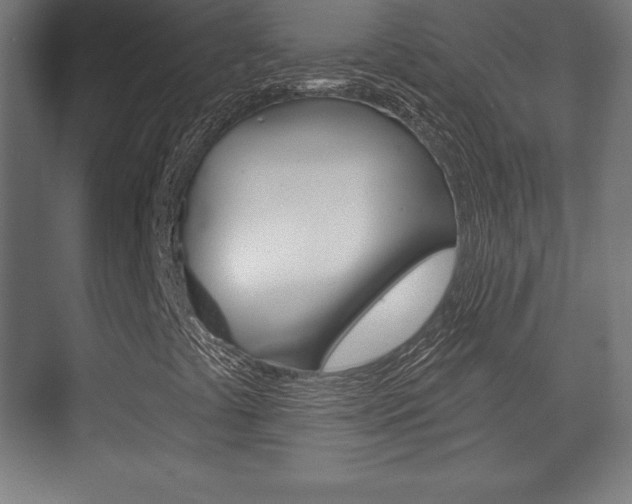 X0000075831441200609150834
