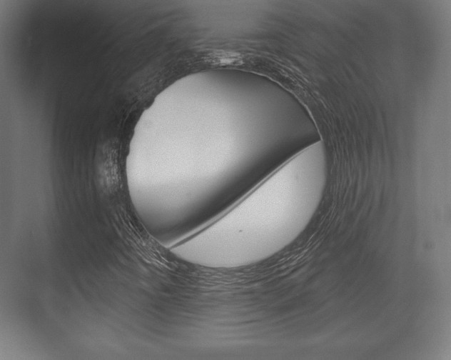 X0000075831442200609150834