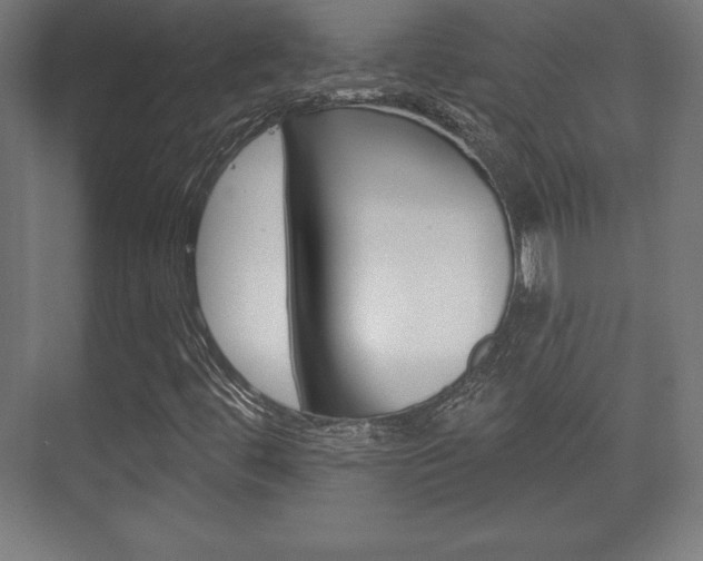 X0000075831444200609150834