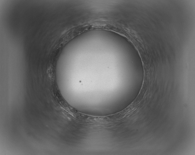 X0000075831445200609150834