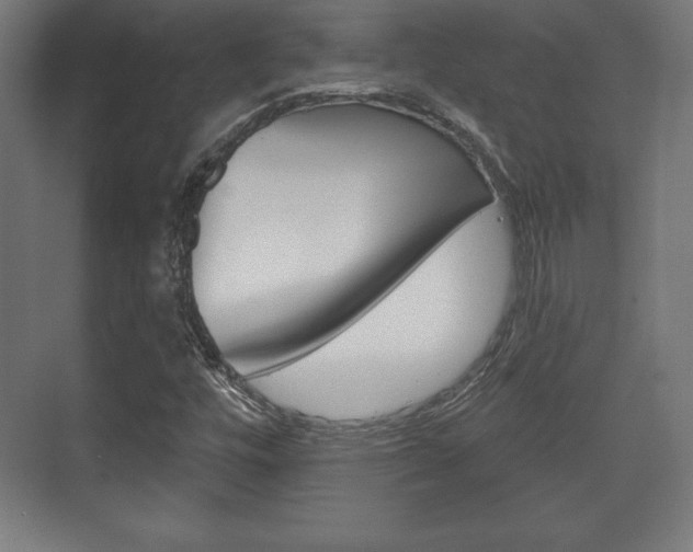 X0000075831448200609150833