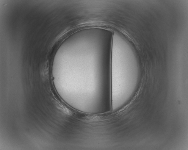 X0000075831450200609150833