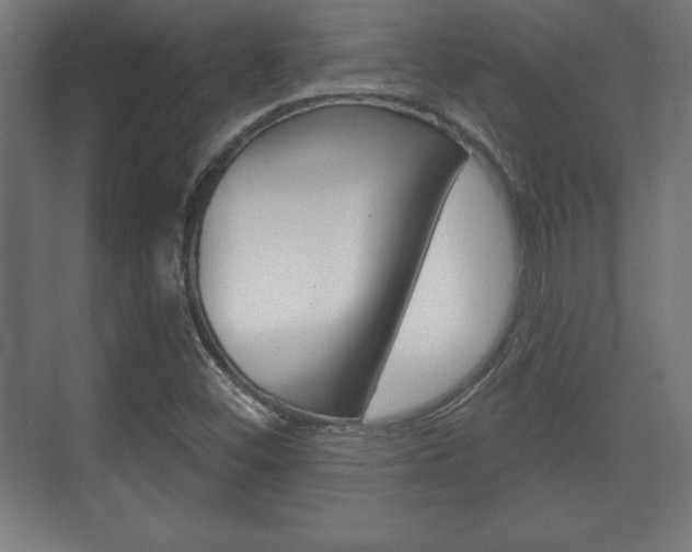 X0000075831452200609150833