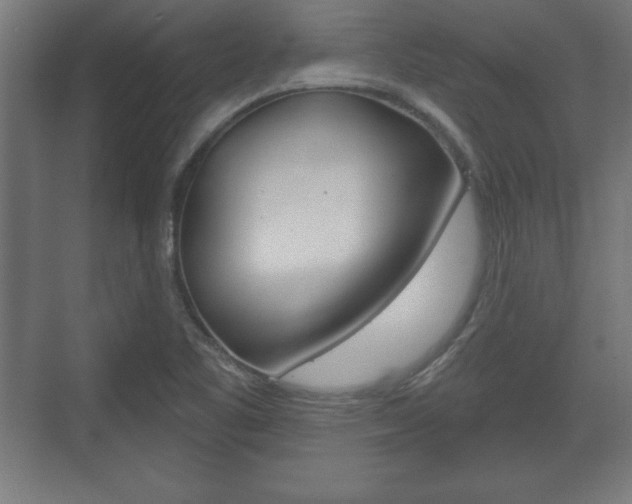 X0000075831461200609150833
