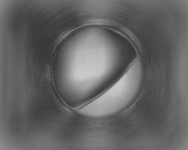 X0000075831465200609150833