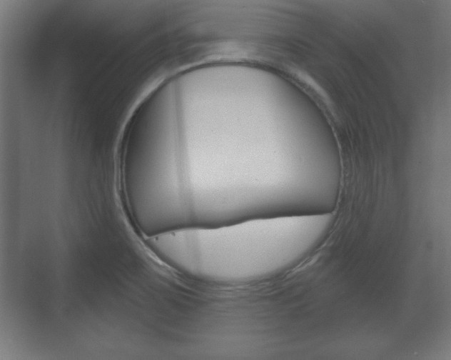 X0000075831467200609150833