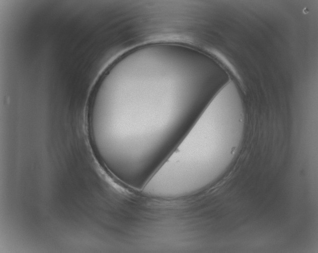 X0000075831468200609150833