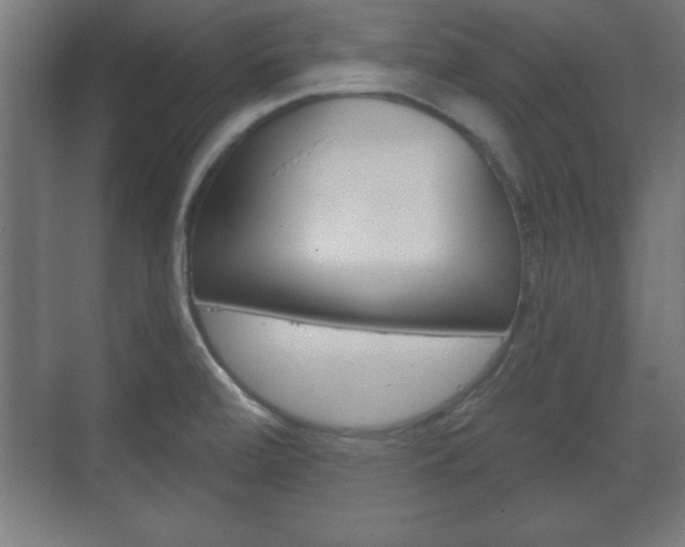 X0000075831472200609150833