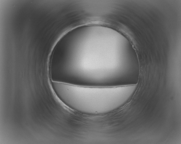 X0000075831483200609150833