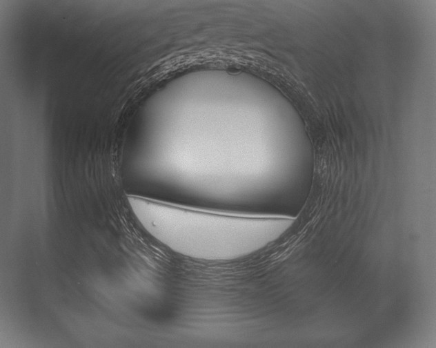 X0000075831490200609150832