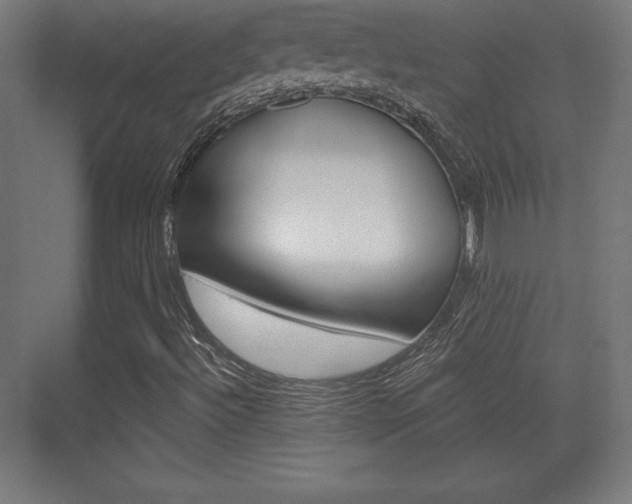 X0000075831492200609150832