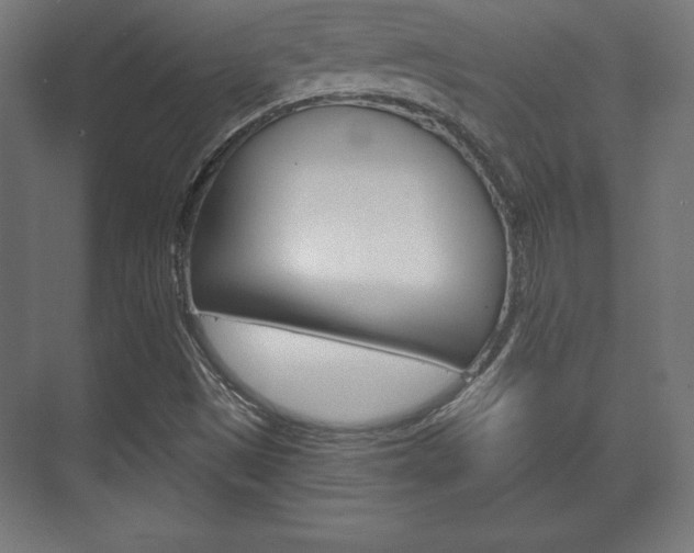 X0000075831497200609150832