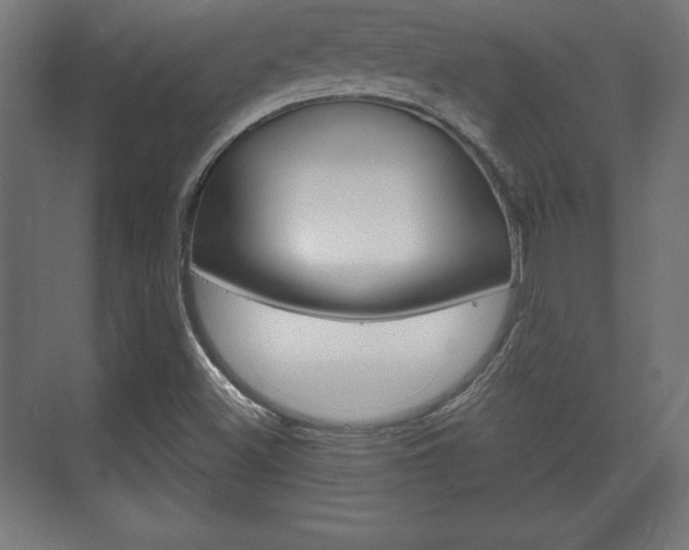 X0000075831500200609150832