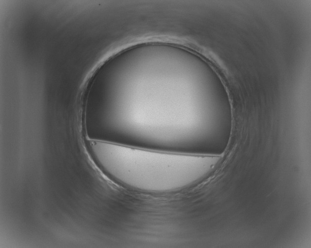 X0000075831504200609150832