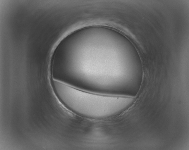 X0000075831512200609150832