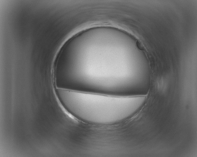 X0000075831519200609150832